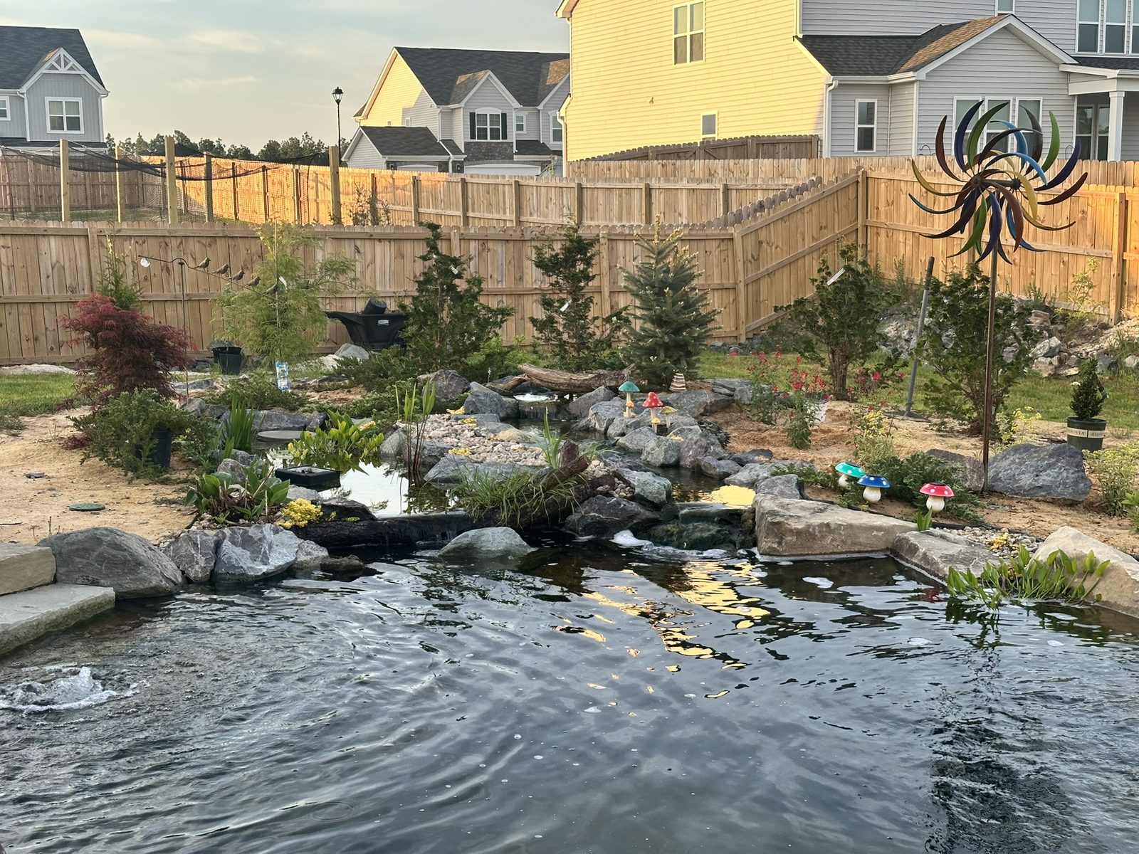 Finished ecosystem pond with plantings