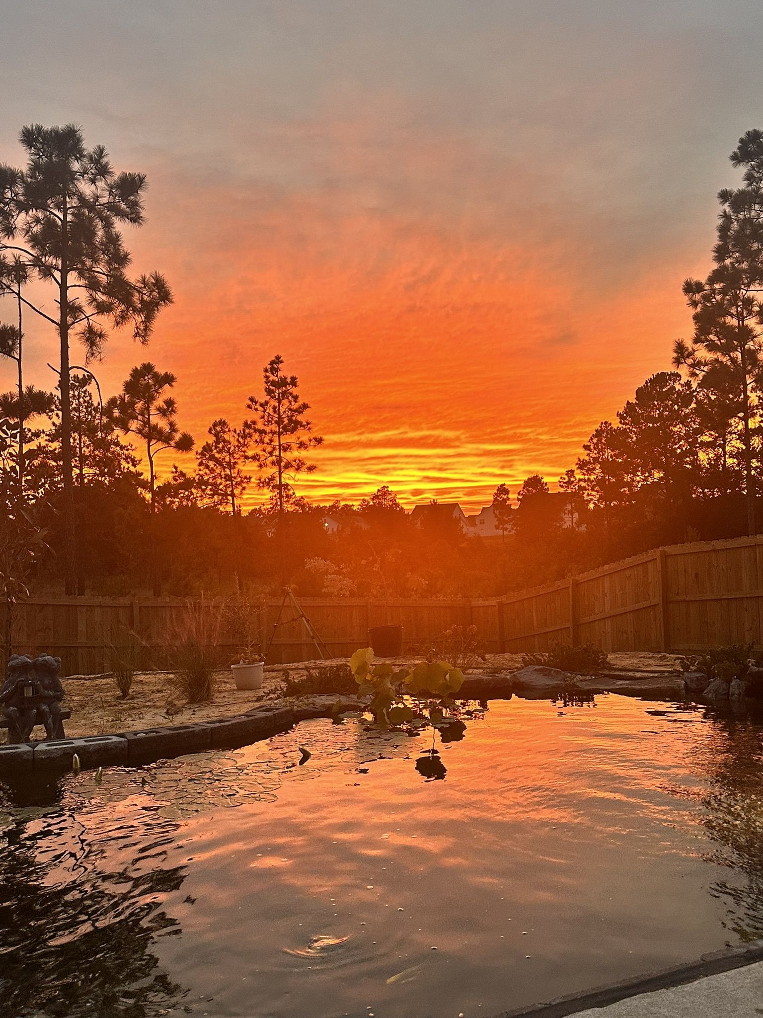Fiery sunset reflected in a pond
