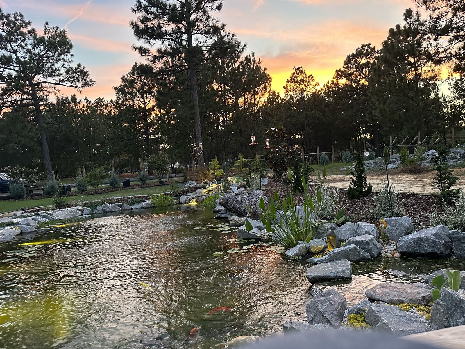 Sunset over a finished pond